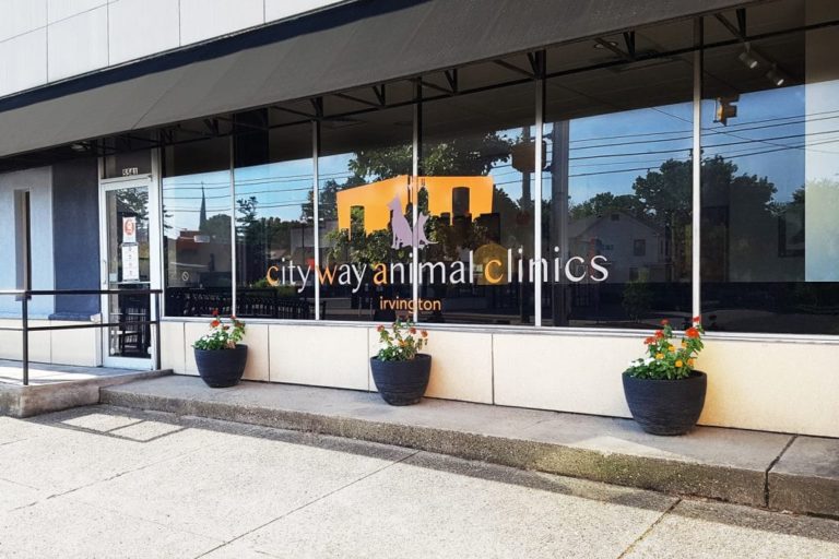 Facilities City Way Animal Clinic Irvington