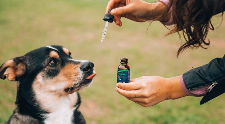 Dog with Drops