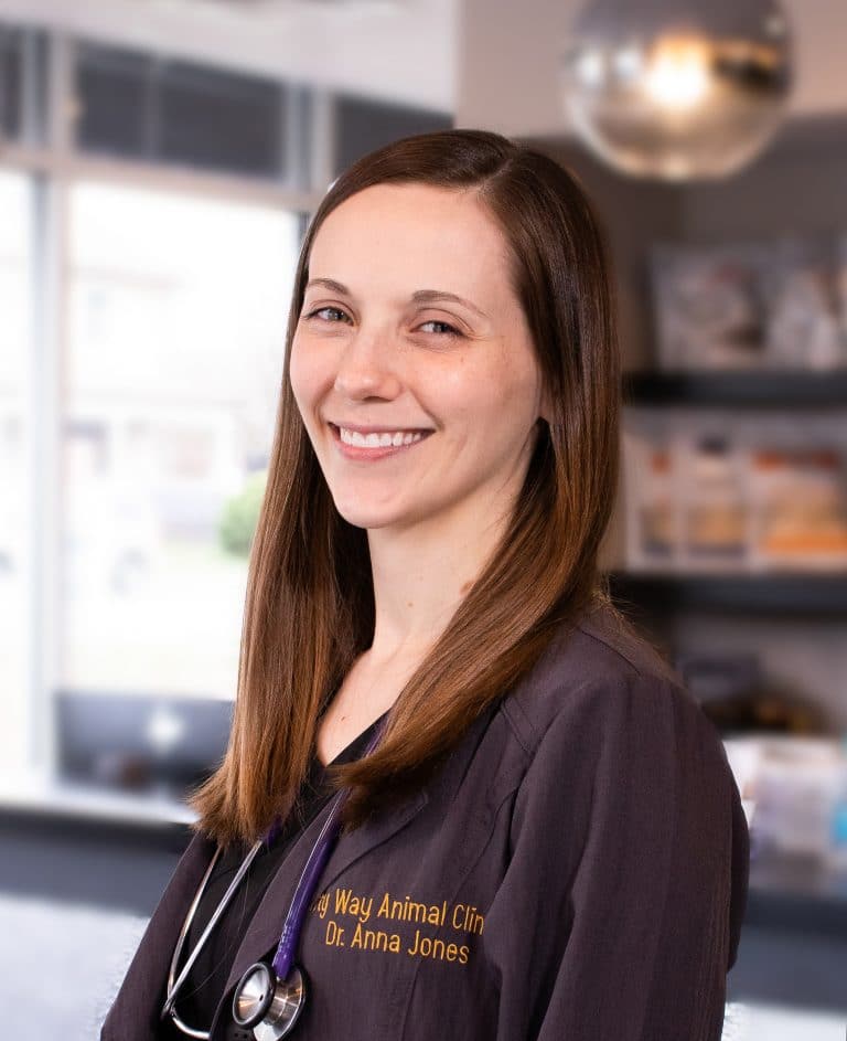 dr anna jones dr anna jones