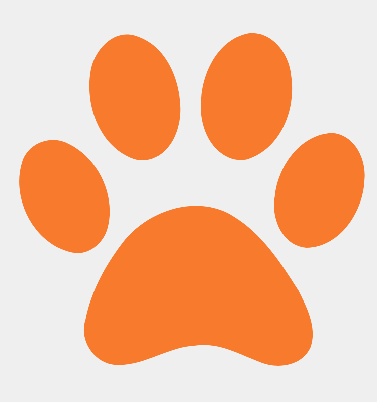 City Way Paw Print Placeholder